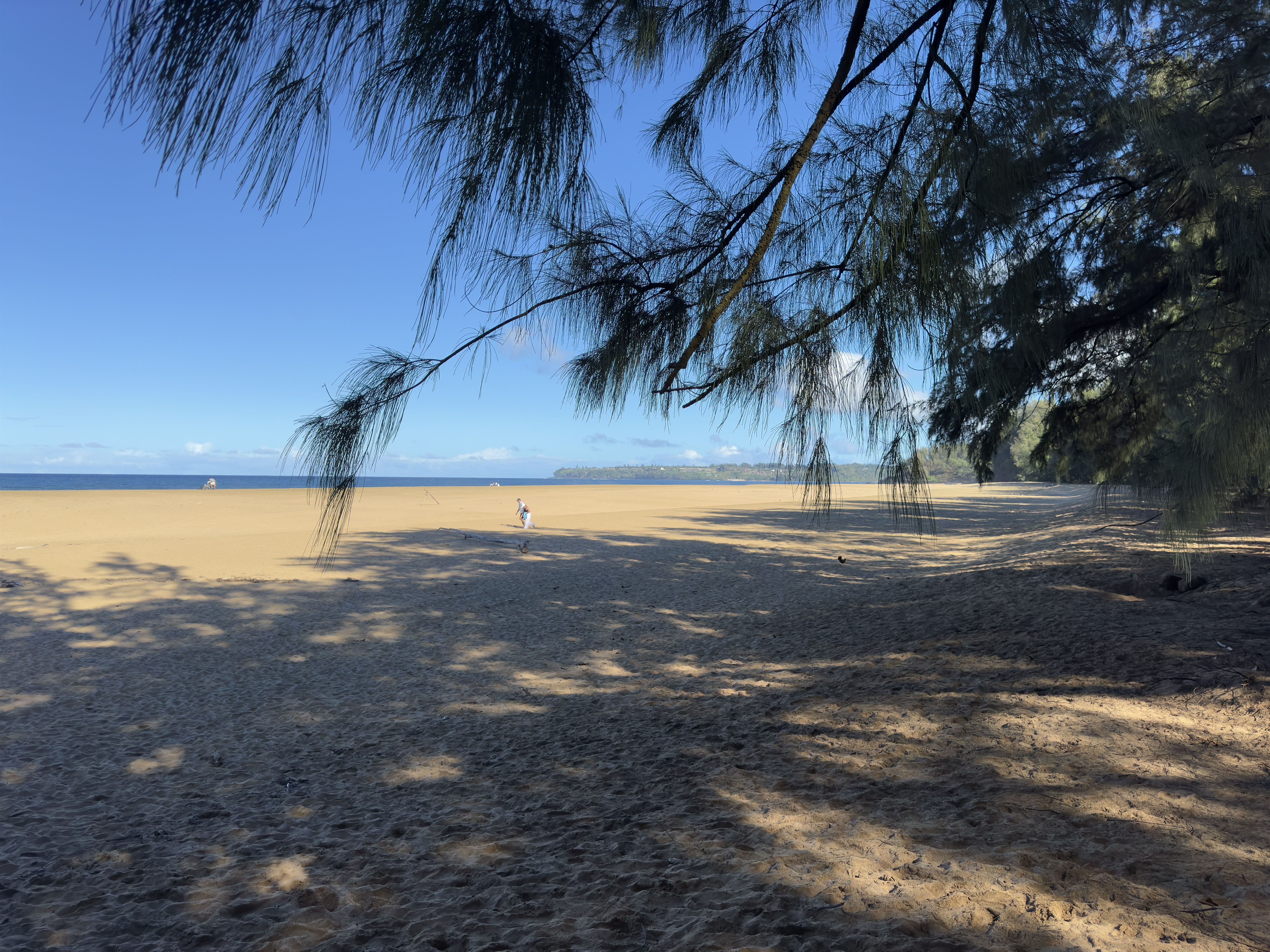 Lumahai Beach’s pristine shore and turquoise waters.